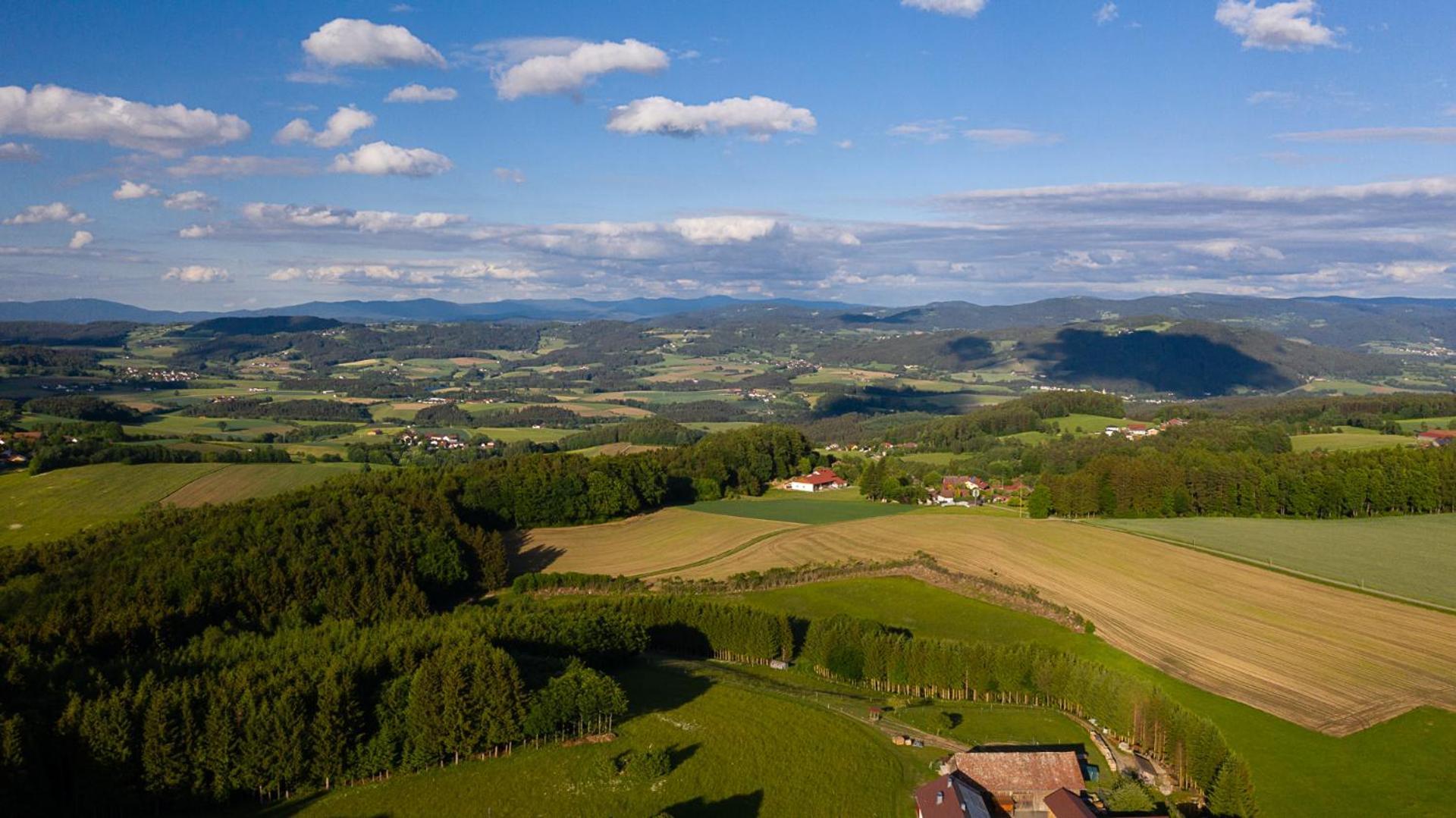 Ferienwohnung „Rose“ Wiesenfelden Esterno foto